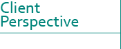 Client Perspective